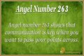 263 Angel Number Meaning - Pulptastic