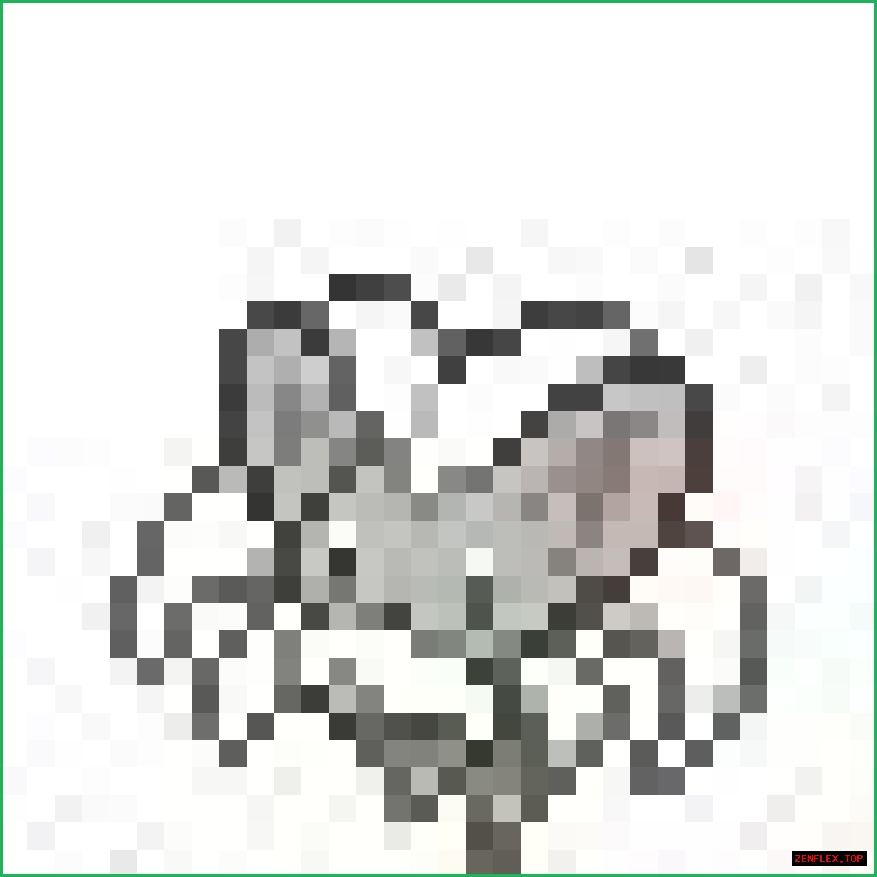 HTML