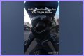 Night Rider Arrested, What Happened To Night Rider?