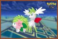 want shiny shaymin | Bulbagarden