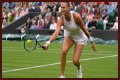 Wimbledon 2021: Aryna Sabalenka vs Karolina Pliskova Preview, Head to Head and Prediction